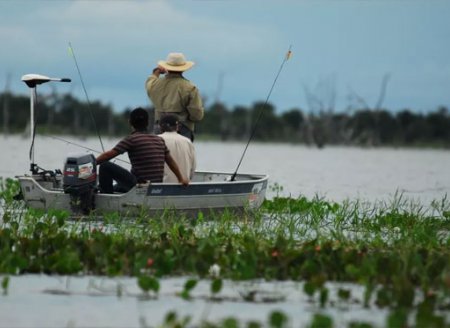 ​Piracema tem início nesta segunda-feira (1º) e pesca fica proibida em rios e lagos do Tocantins; veja regras