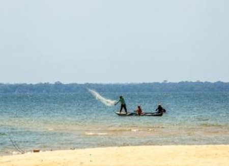 ​Tendências para o futuro da aquicultura