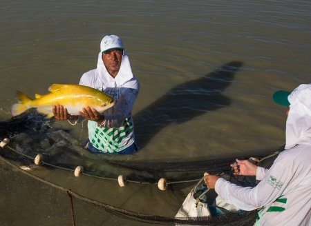 ​Projeto Monitor do Seguro Rural analisa opções para aquicultura  