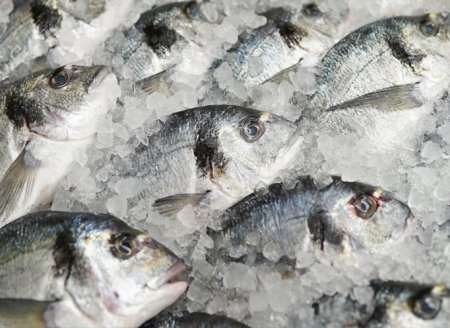 ​Lançada  a 20° edição da Semana do Pescado