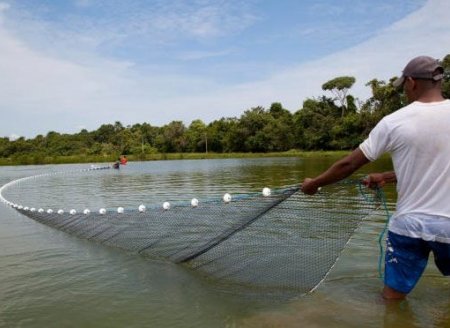 Peixe Br debate sobre portaria nº 145/98