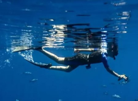​O mergulho de Fer Ligabue, documentarista que nadou com tubarões no Índico