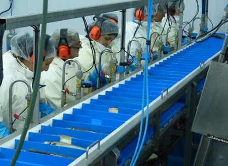 ​China habilita mais três plantas de pescado  