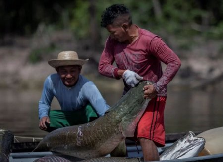 ​Litoral paulista contará com ações de suporte a pescadores artesanais 