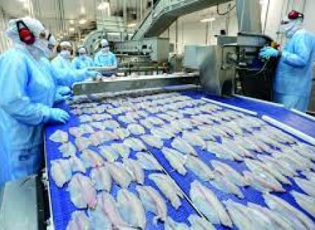 ​O que as empresas de pescado podem esperar para o 2ª semestre de 2023?