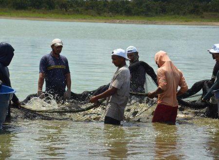 ​Palmas sediará o “I Encontro Nacional Sobre Pegada de Carbono na Aquicultura”