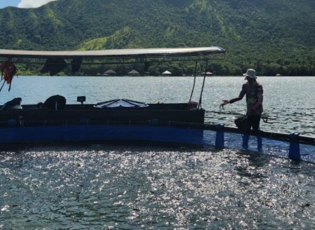 Governo do Tocantins sanciona Lei que cria o Programa Trilha da Pesca e Aquicultura no Estado