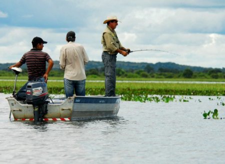 ​Estado suspende pesca profissional nos reservatórios das usinas de Lajeado e Estreito por um ano