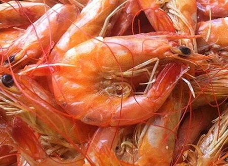PB: Faepa reúne produtores para discutir dificuldades de comercialização de camarão