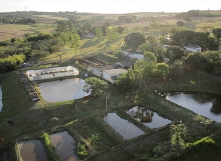 Estação  de piscicultura da UEM expande pesquisas e ganha projeção internacional