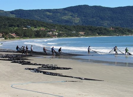 Representante da FAO apresenta situação e perspectivas da pesca no mundo