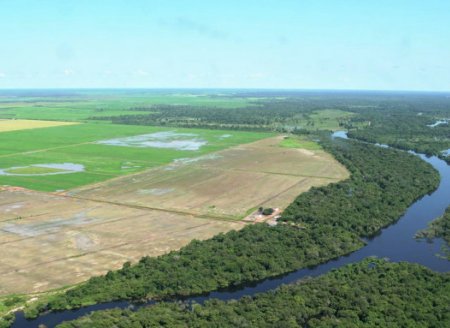 ​Aos 35 anos, Tocantins projeta se tornar referência mundial na produção agrícola com responsabilidade ambiental