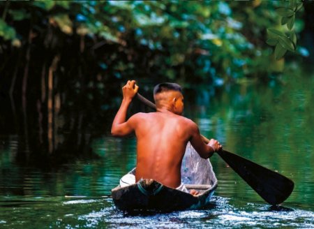 ​IFC Amazônia inaugura fórum latino-americano sobre oportunidades e desafios para peixes amazônicos