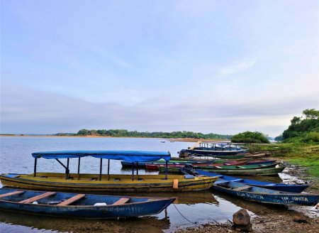  Propesca: Ministério da Pesca e Aquicultura e Embrapa iniciam projeto de monitoramento da pesca artesanal brasileira