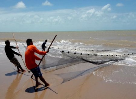 Governo de Santa Catarina  publica medidas de proteção para pesca de arrasto de praia de tainha  