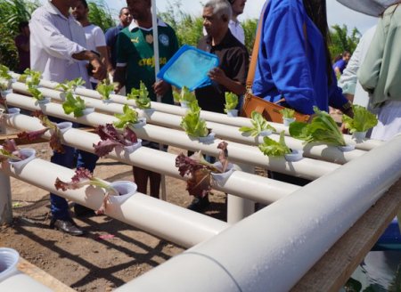 Ministro André de Paula participa do lançamento de Projeto de Aquaponia  Inclusiva em Pernambuco