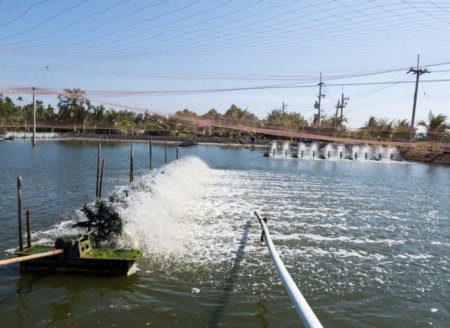 ​Ex-aluno do JAA constrói sistema de oxigenação para peixes