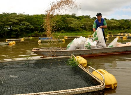 RAP de aquicultores deve ser enviado até março