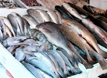 ​Pesquisa vai fomentar consumo de pescado