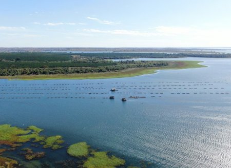 MPA Libera Produção de Pescado nos Reservatórios de Furnas e Ilha Solteira