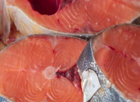 Entidades alertam que nova regra de importação pode encarecer pescado