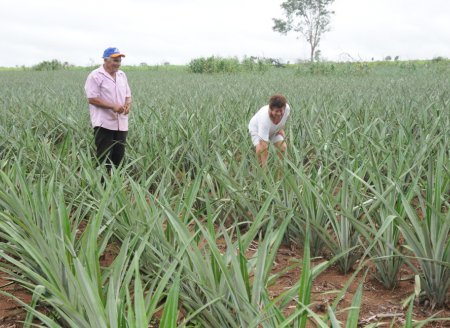 ​Produtores rurais têm até o dia 30 de dezembro de 2019 para renegociar dívidas