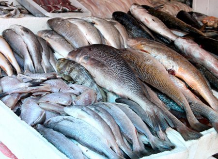 ​Operação contra fraudes na Semana Santa aponta que 94,8% dos peixes estão regulares