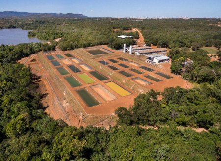 Brasil tem primeiro banco ativo de germoplasma de peixes