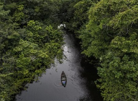 80% das espécies aquáticas da Amazônia estão sem proteção, aponta estudo internacional