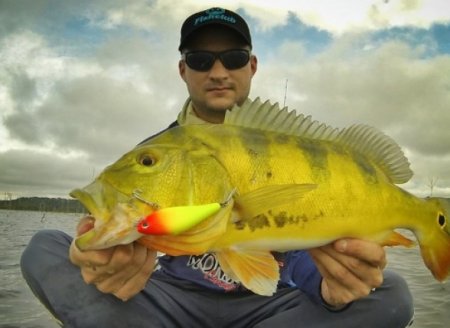 Pesca esportiva está liberada durante período da Piracema em todos os rios e lagos do Tocantins