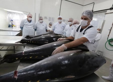 ​Pescas de atum garantem destaque nas exportações do RN