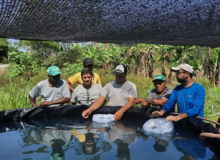 ​Aquaponia: projeto incentiva produção integrada de peixes e hortaliças em aldeia indígena de Aracruz