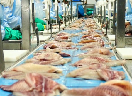  Faturamento de exportações da piscicultura brasileira cresce 4% em 2023