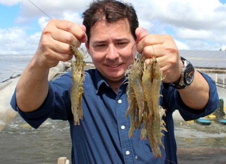 ​Criação de camarão marinho longe do mar – Curso Presencial em Leme/SP