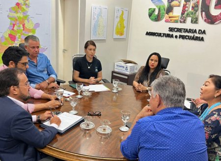 Governo do Tocantins realiza reunião para definir diretrizes do programa Produtos da Terra