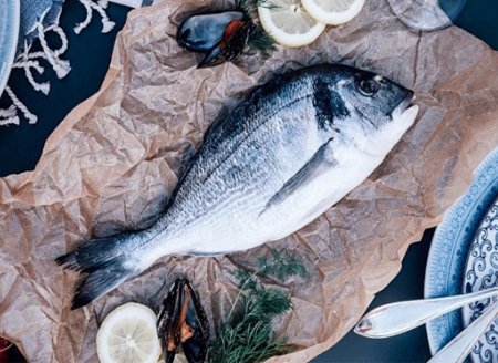 Comer peixes traz um mar de benefícios; conheça os nutrientes de 10 tipos