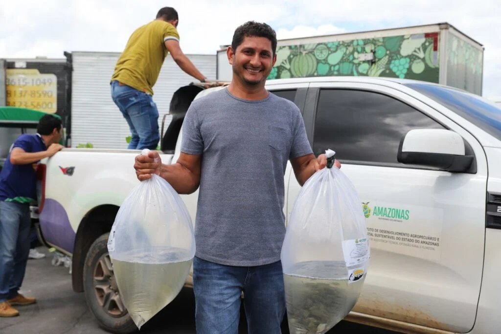 Amazonas entrega 4 milhões de alevinos a 1,6 mil piscicultores