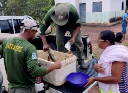 ​Na defesa dos recursos naturais do Estado, Governo do Tocantins executa mais de 3,9 mil