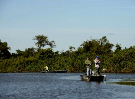 ​Governo de Goiás renova cota zero de pescado por mais seis anos