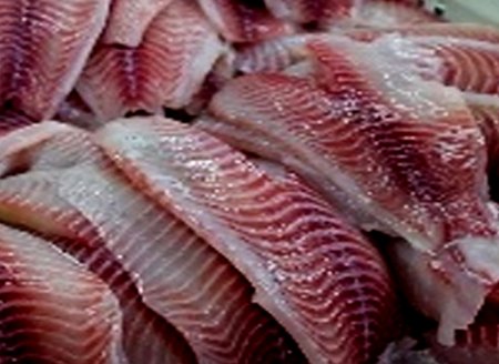 ​Brasil vai exportar peixe para Coreia do Sul  