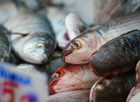 Secretaria de Aquicultura e Pesca institui Grupo de Trabalho para viabilizar venda de pescado na Ceasa