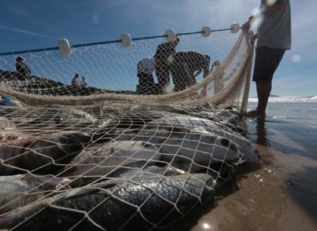 Pescadores e maricultores atingidos por fenômenos climáticos extremos recebem apoio do Governo do Estado