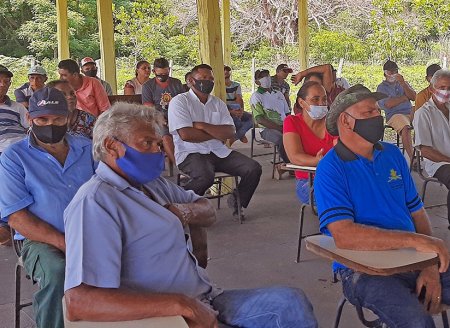 Governo do Tocantins oferece linha de crédito de até R$ 200 mil para pequeno produtor investir no cultivo de tilápia