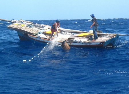 CNPq e Ministério da Pesca e Aquicultura lançam chamada para projetos de “Ordenamento da Pesca Marinha Brasileira”