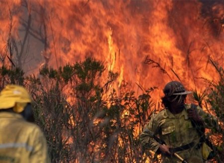 ​Produto usado na Chapada para conter fogo exige paralisação de consumo de água e pesca por 40 dias