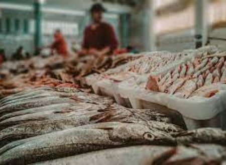 ​Abertura  do mercado do Egito para pescados e derivados brasileiros