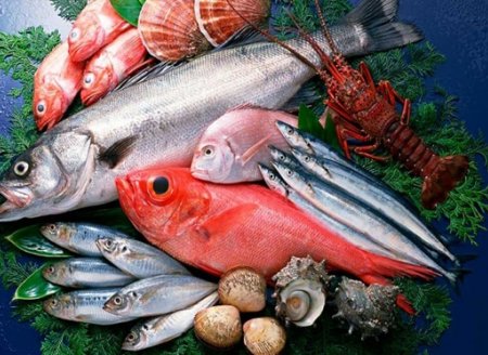 ​  Mercado registra aumento de consumo e de produção de pescado, peixes e camarões. Mas como ficará a situação pós-Covid-19?  