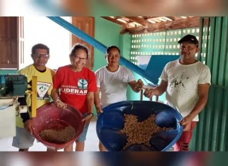 Piscicultores iniciam testes para produção de ração orgânica para peixes na Resex Tapajós-Arapiuns