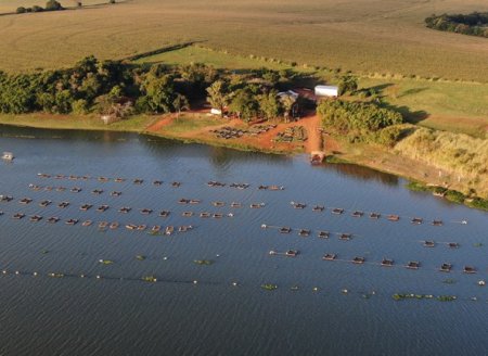 ​R$ 10 milhões para bons projetos de aquicultura