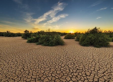 COP25 termina sem decisões importantes sobre clima  